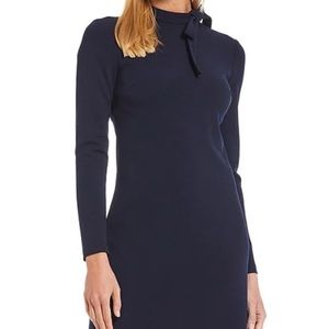 Calvin Klein Modest Dress